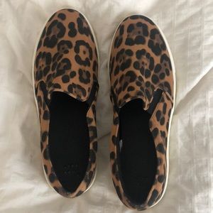 Leopard shoes